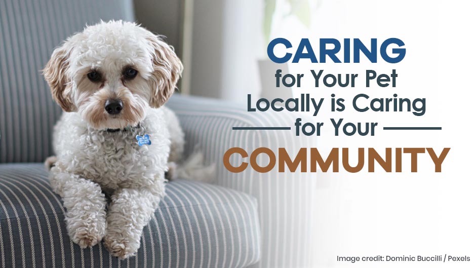 Caring for your pet locally by visiting a vet or veterinarian is caring for your community.