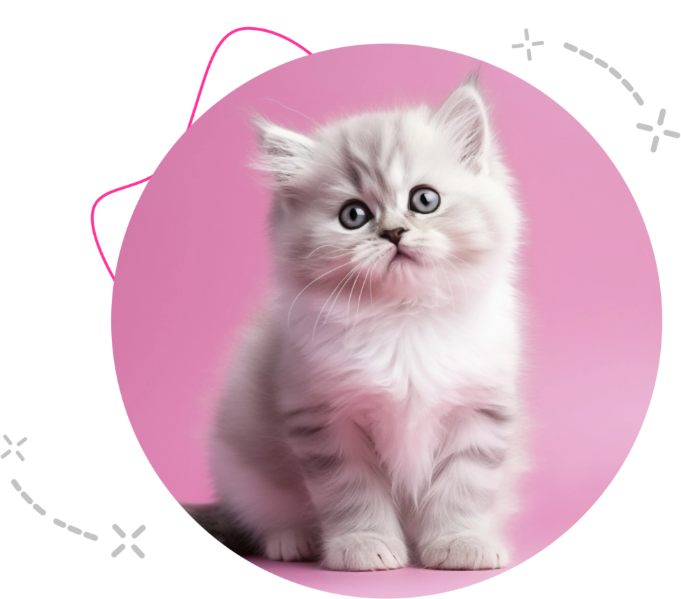 Veterinary Services Offered at Navarro Small Animal Clinic