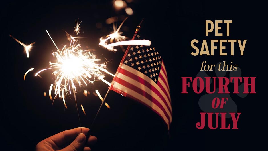 Pet safety for this fourth of july is crucial to ensure the wellbeing of our beloved pets. It is recommended to consult with a vet or veterinarian for expert advice on how to keep our pets safe during