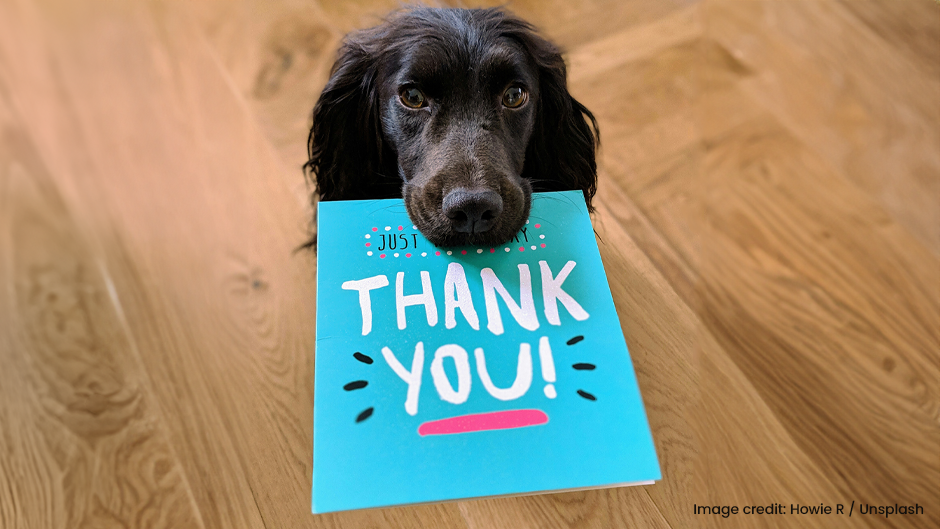 A black dog holds a blue thank you card with a wooden floor background.